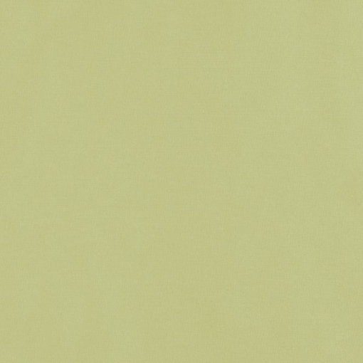 Bio Baumwollstoff mellow green - Produktbild 1