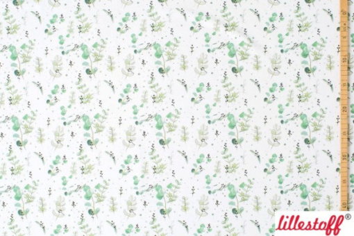 Bio Jerseystoff Eucalipto - Produktbild 1
