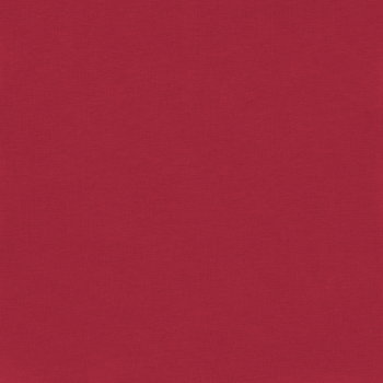 Bio Jerseystoff rot - Produktbild 1