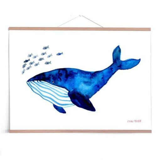 Blauwal Print in DIN A3 von Frau Ottilie