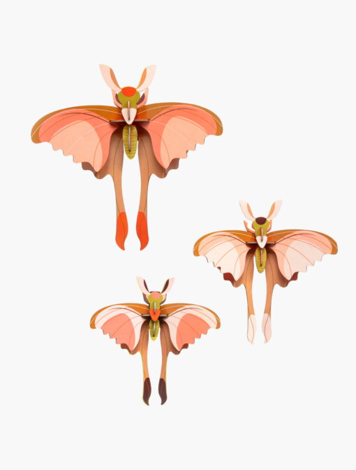 Bastel-3er Set "Comet Butterflies" von studio ROOF