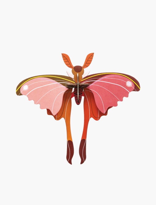 Bastel-Set “Pink Comet Butterfly” von studio ROOF