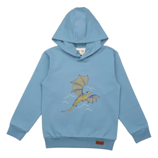 Bio Hoodie Bunte Drachen - von Walkiddy