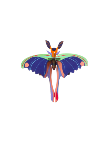 Wanddekoration Blue Comet Butterfly von Studio ROOF