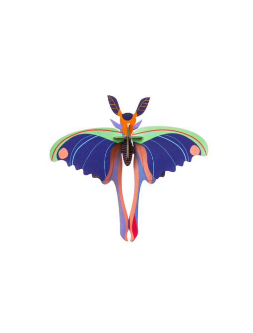 Wanddekoration Blue Comet Butterfly von Studio ROOF